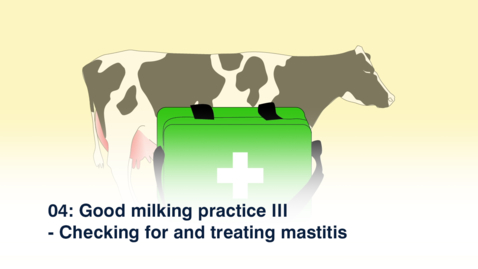 Thumbnail for entry 04 Good Milking Practice III - Checking for Mastitis - Amharic