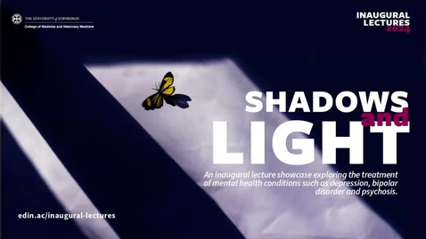 Thumbnail for Inaugural lecture: Shadows and Light