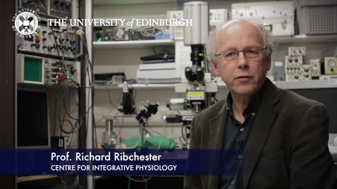Thumbnail for Richard Ribchester- Centre for Integrative Physiology - Research In A Nutshell- Edinburgh Neuroscience-08/05/2012