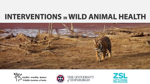 Thumbnail for entry Interventions in Wild Animal Health