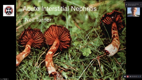 Thumbnail for entry Acute interstitial nephritis