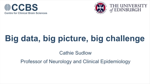 Thumbnail for Big Data, Big Picture, Big Challenge