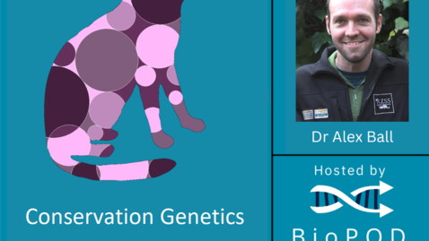Thumbnail for Conservation genetics with Dr Alex Ball