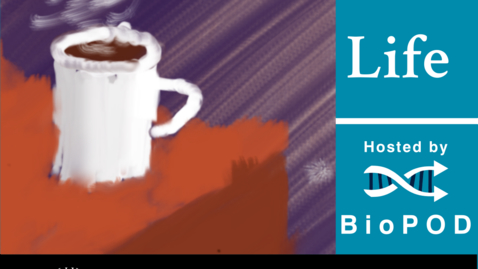 Thumbnail for Living the PhD life