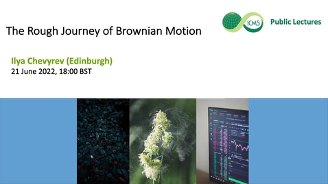 Thumbnail for The Rough Journey of Brownian Motion, Ilya Chevyrev