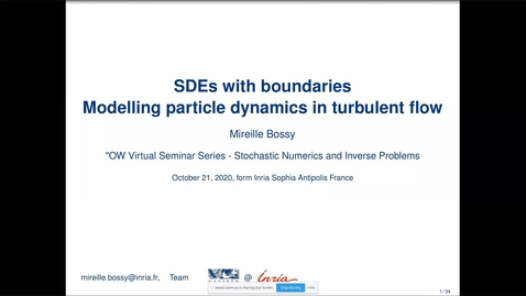 Thumbnail for entry One World Virtual Seminar Series - Stochastic Numerics and Inverse Problems: Mireille Bossy (INRIA)