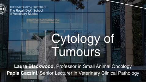 Thumbnail for entry Vet Clinical Club - 4th October 2023 - Paola Cazzini &amp; Laura Blackwood