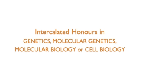 Thumbnail for entry Intercalated Honours in Genetics, Molecular Genetics, Molecular Biology and Cell Biology