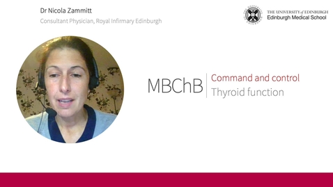 Thumbnail for Thyroid function