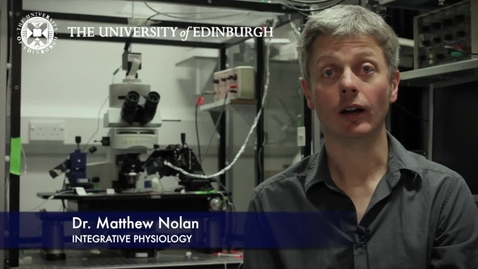 Thumbnail for entry Matt Nolan- Integrative Physiology - Research In A Nutshell- Edinburgh Neuroscience-10/07/2013