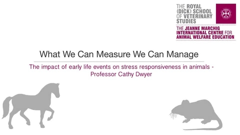 Thumbnail for entry Interview 2-2 The Impact of Early Life Events on Stress Responsiveness in Animals.mp4