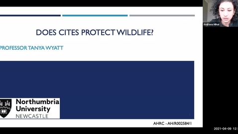 Thumbnail for 'Does the Convention on International Trade in Endangered Species of Wild Fauna and Flora Protect Wildlife?' 9th April 2021
