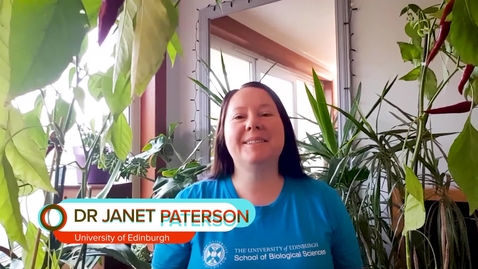 Thumbnail for STEM Club: Peas in a pod