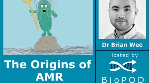 Thumbnail for entry The Origins of Antimicrobial Resistance with Dr Brian Wee