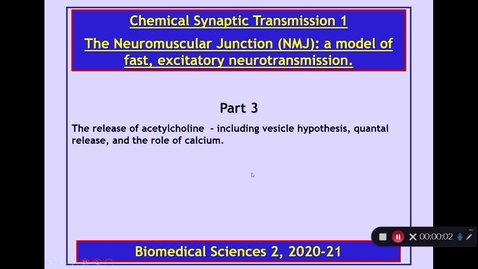 Thumbnail for BMS2: Chemical Synaptic Transmission 1 Part 3 Dr Phil Larkman