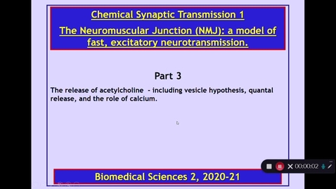 Thumbnail for entry BMS2: Chemical Synaptic Transmission 1 Part 3 Dr Phil Larkman