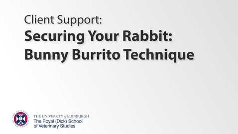 Thumbnail for Client Support - Bunny Burrito