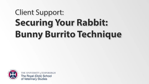 Thumbnail for entry Client Support - Bunny Burrito