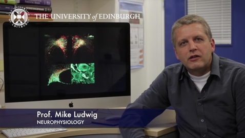 Thumbnail for entry Mike Ludwig- Neurophysiology - Research In A Nutshell- Edinburgh Neuroscience-17/07/2013