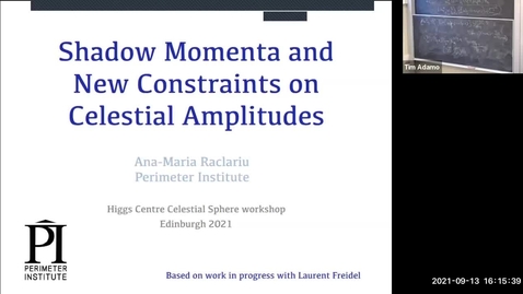 Thumbnail for entry Ana-Maria Raclariu - Shadow momenta and new constraints on celestial amplitudes (Celestial Sphere: holography, CFT and amplitudes)