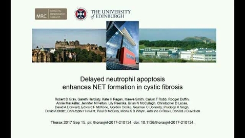 Thumbnail for Gray Davidson Cystic Fibrosis neutrophils with captions