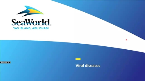 Thumbnail for Saturday 11:45 - Daniela Denk: Viral diseases zoo and exotic species