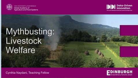 Thumbnail for Mythbusting: Livestock Welfare