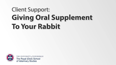 Thumbnail for Client Support - Rabbit Oral Supplement