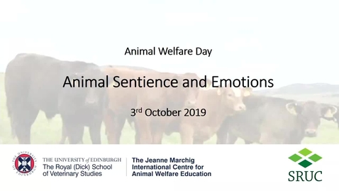Thumbnail for entry 3Rs Animal Welfare Day - Alistair Lawrence (SRUC/Roslin Institute).