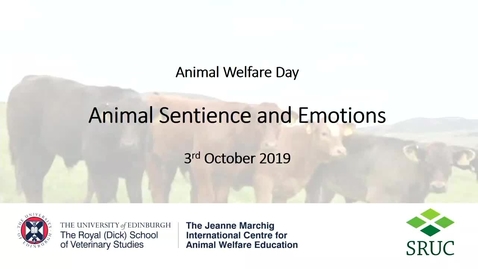 Thumbnail for 3Rs Animal Welfare Day - Francoise Wemelsfelder (SRUC).
