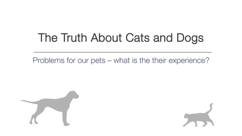 Thumbnail for Week 4 - Problems for our pets – What is their experience?
