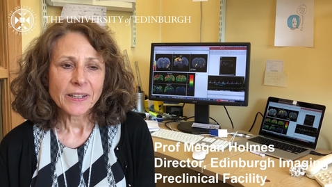 Thumbnail for Prof Megan Holmes - Research in a Nutshell
