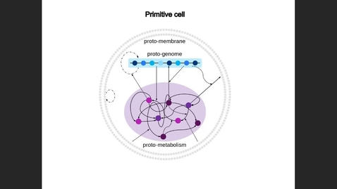 Thumbnail for Claudia Bonfio -  Towards the Emergence of Modern Cells