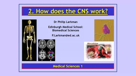 Thumbnail for entry MS1 2021-22 How does the CNS work - Part 1