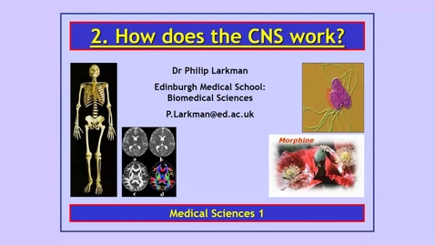 Thumbnail for MS1 2021-22 How does the CNS work - Part 1