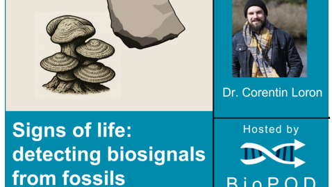 Thumbnail for Signs of life: detecting biosignals from fossils with Corentin Loron