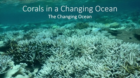 Thumbnail for Acidification and Corals