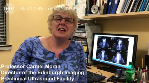 Thumbnail for Prof Carmel Moran - Research in a Nutshell