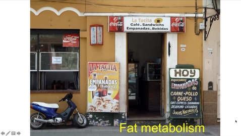 Thumbnail for entry GI &amp; Liver: Fat Metabolism (1)