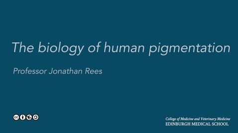 Thumbnail for Skin biology: pigmentation