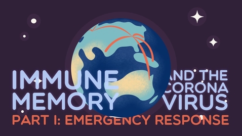 Thumbnail for entry Immune Memory and the Coronavirus Part I: Emergency Response