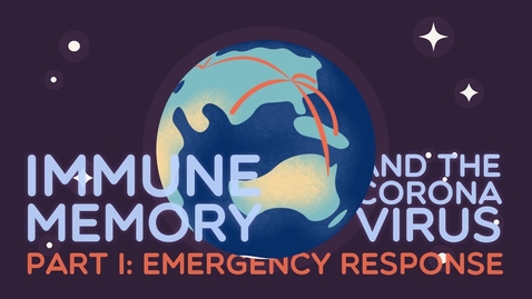 Thumbnail for Immune Memory and the Coronavirus Part I: Emergency Response