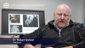 Thumbnail for entry Robert Dalziel - Virology - Research In A Nutshell - Royal (Dick) School of Veterinary Studies -13/03/2013