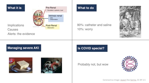 Thumbnail for entry Acute kidney injury (AKI, ARF) for postgraduates