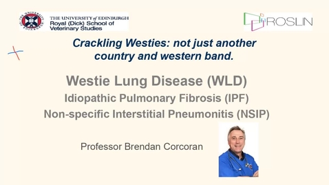 Thumbnail for Clinical Club January 2021 - Crackling Westies : not just another country and western band