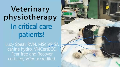 Thumbnail for Nurse's Clinical Club 26th May 2021 - Physiotherapy in Critical Care Patients
