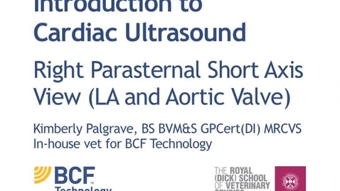 Thumbnail for entry Cardiac Ultrasound Video 8 - Right parasternal short axis view (LA and aortic valve)