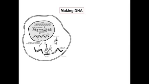 Thumbnail for Preparing for gels
