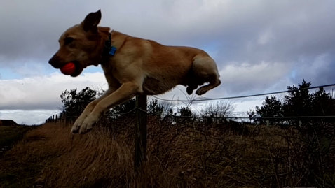 Thumbnail for Mac Jumping