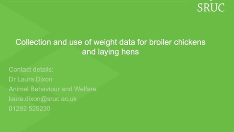 Thumbnail for Weight data for broiler and layers